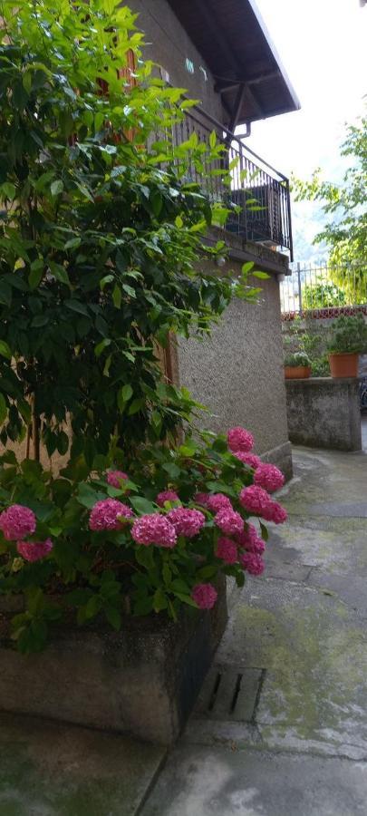 La Casetta Di Vassena Oliveto Lario Exterior photo